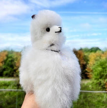 Load image into Gallery viewer, Alpaca Plush Toy